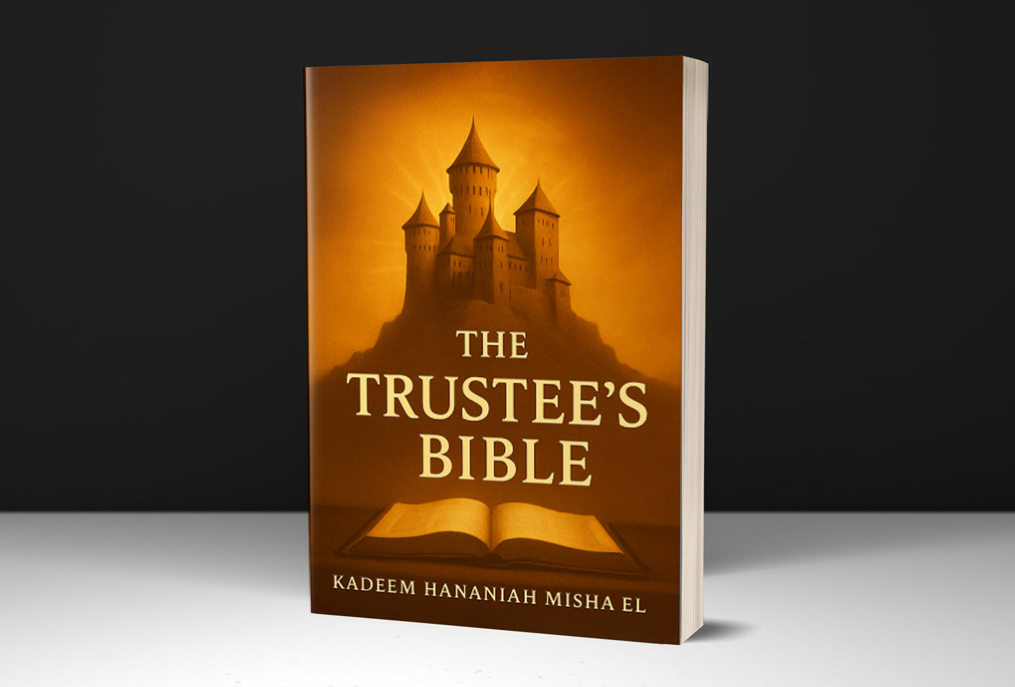 The Trustee's Bible: Building a Fortress for your Family and Future (Paperback)